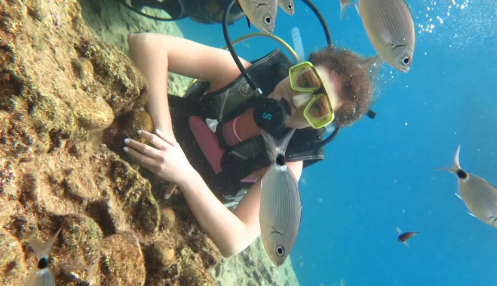 Alanya Tauchtour — zwei Tauchgänge mit Instructor — 6
