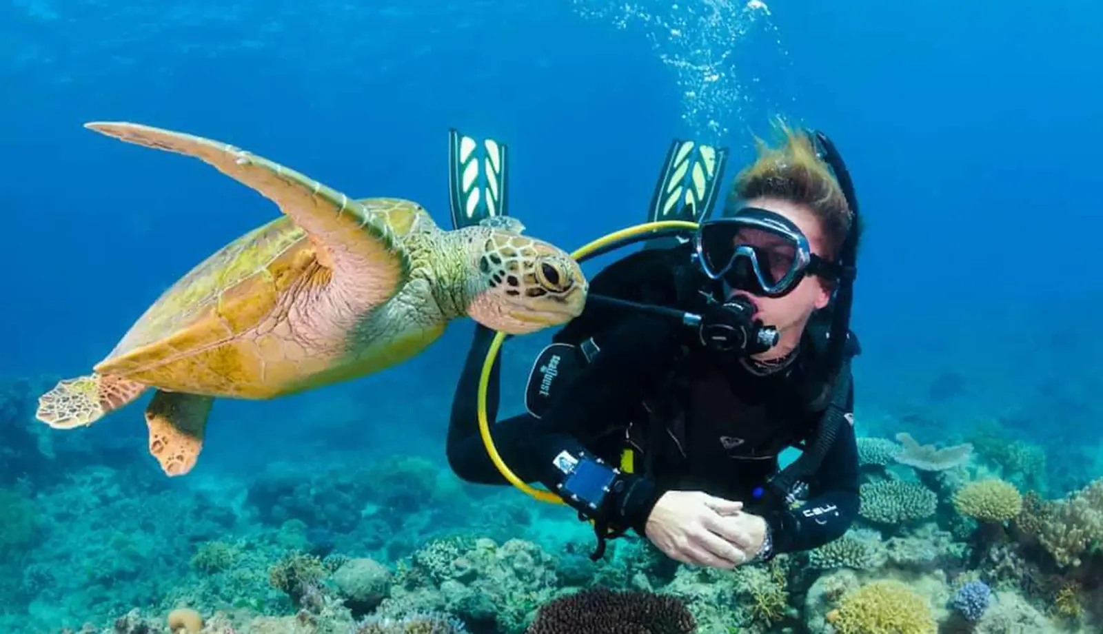 Alanya Tauchtour — zwei Tauchgänge mit Instructor — 8