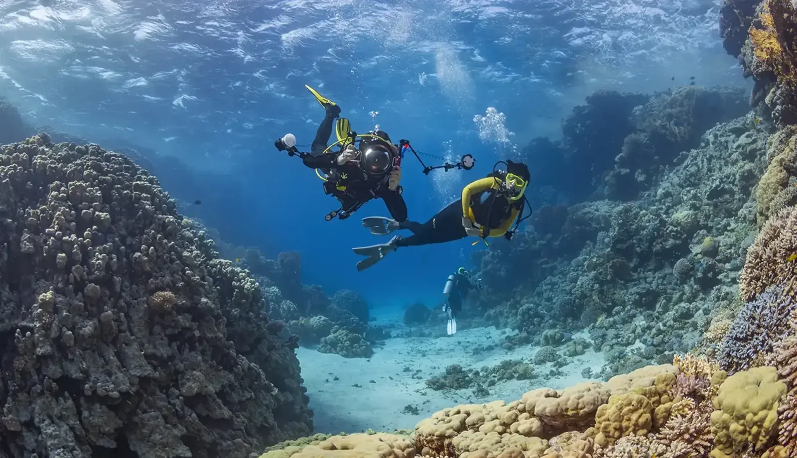 Alanya Tauchtour — zwei Tauchgänge mit Instructor — 10