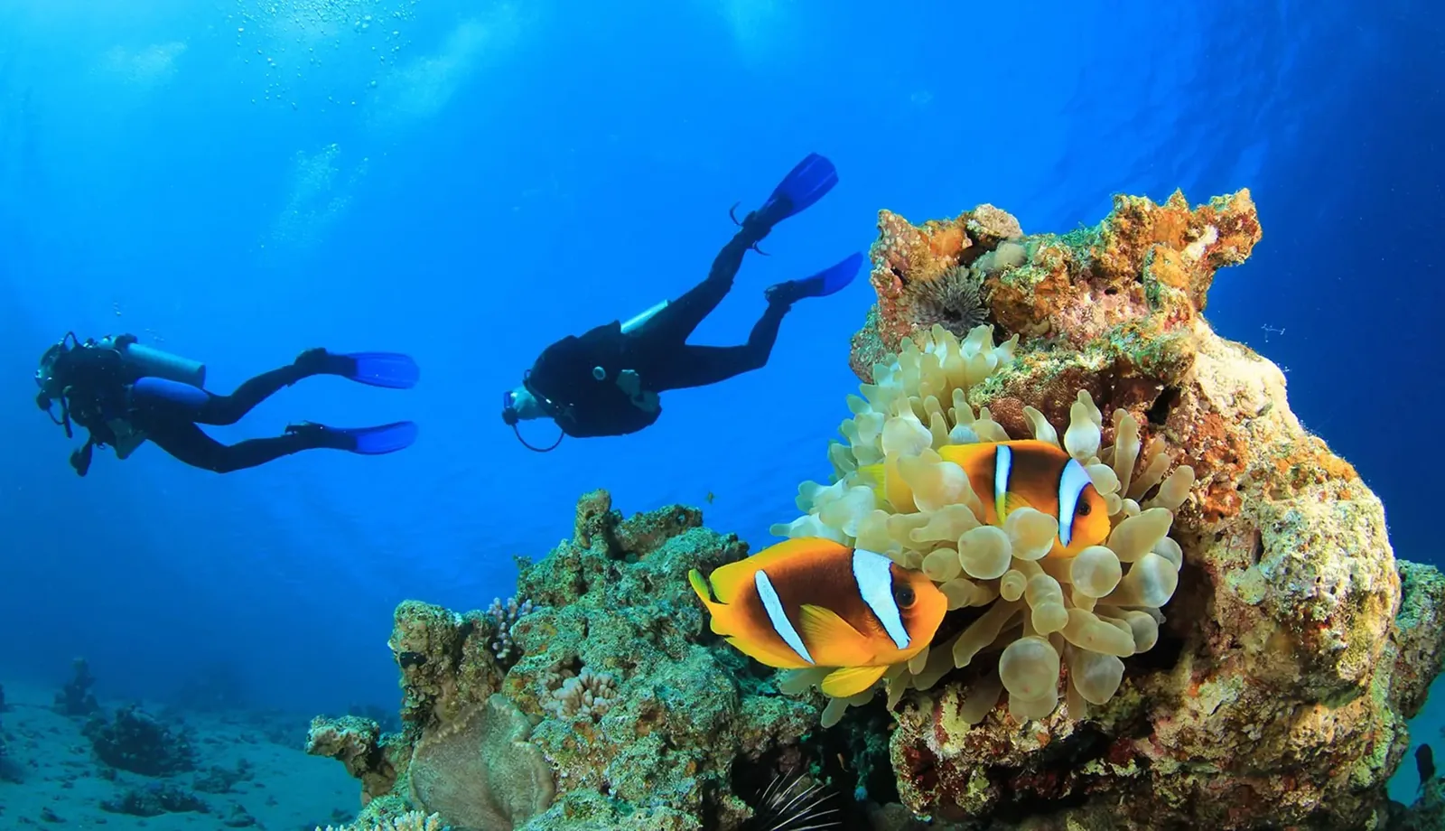 Alanya Tauchtour — zwei Tauchgänge mit Instructor — 12