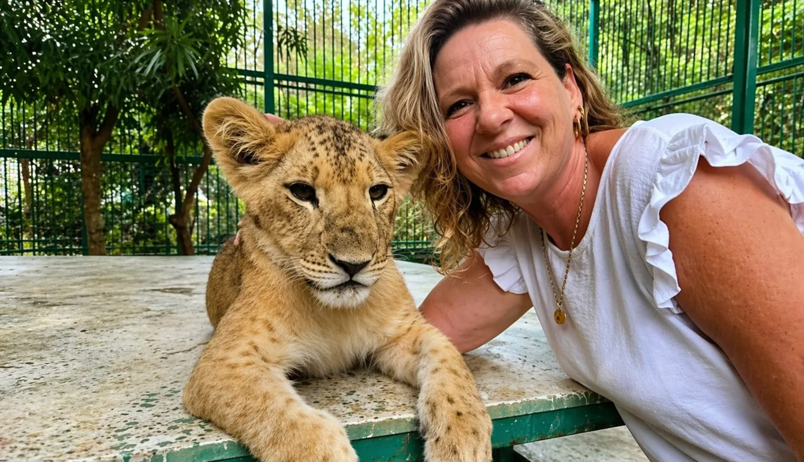 Green Canyon Cabrio-Safari & Löwenpark-Tour — 3